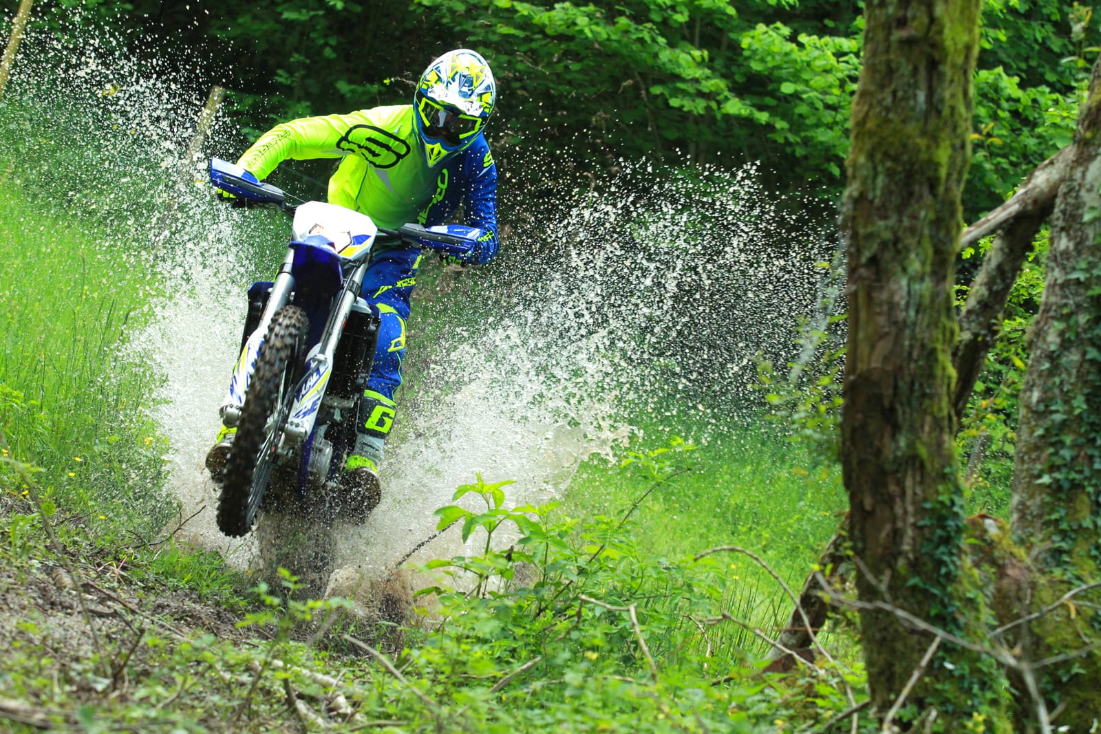 Sherco 450 sef r action 1